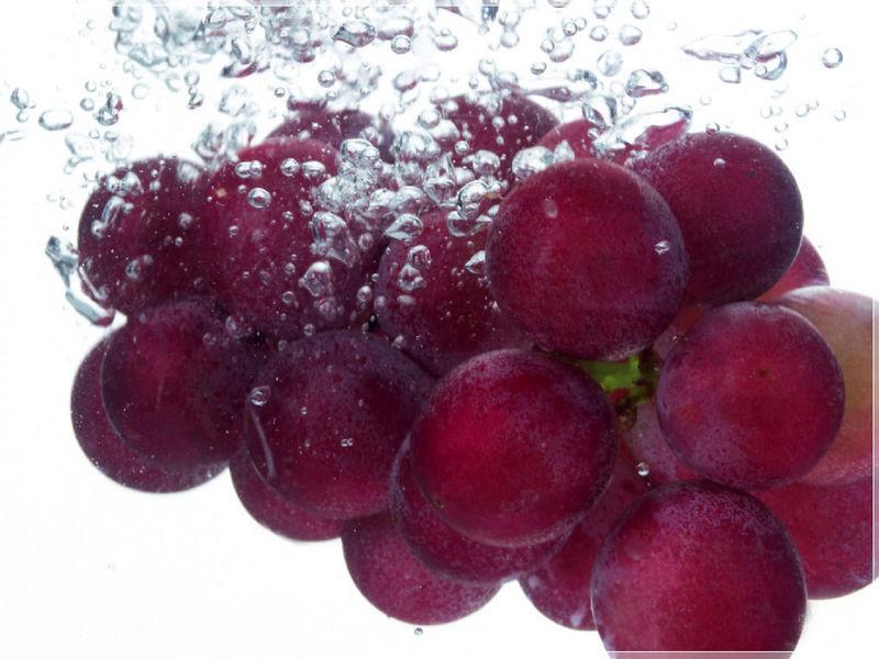 红酒,葡萄酒,酒圈网,红酒网