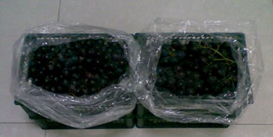 葡萄酒,红酒,红葡萄酒