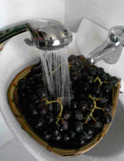 葡萄酒,红酒,红葡萄酒