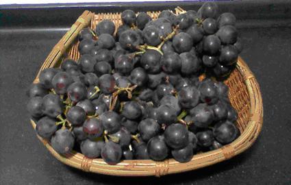 葡萄酒,红酒,红葡萄酒