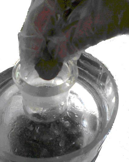 葡萄酒,红酒,红葡萄酒