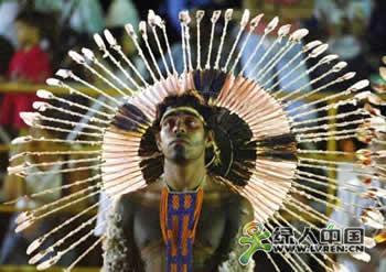 巴西葡萄酒,葡萄酒,红酒