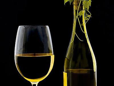 白葡萄酒与柠檬的青春秘诀,葡萄酒,红酒,酒圈网