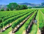 吉斯伯恩(Gisborne)