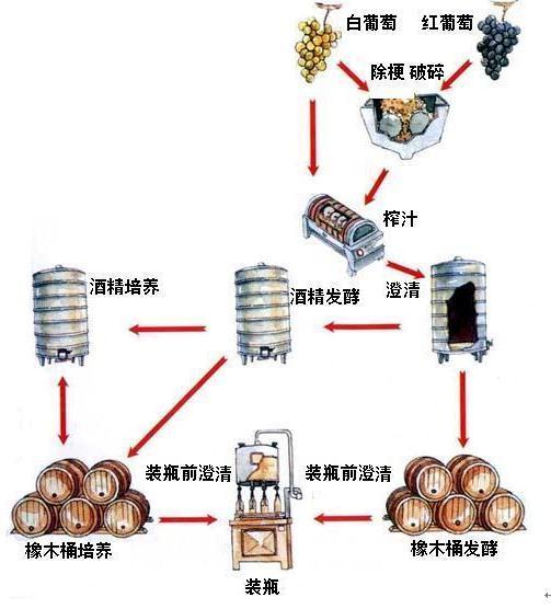 法国红酒,红酒,葡萄酒,红葡萄酒