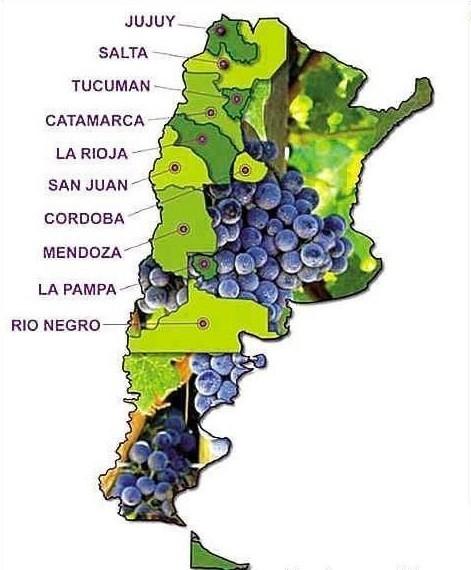 舌尖上的探戈-阿根廷红酒,葡萄酒,红酒,酒圈网