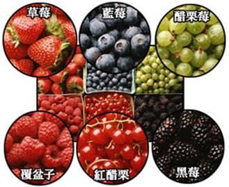 葡萄酒,红酒,红葡萄酒