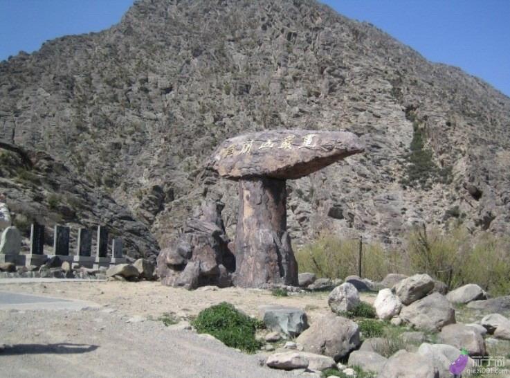 夏贺兰山东麓,葡萄酒