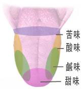葡萄酒,红酒,红葡萄酒
