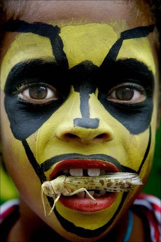 葡萄酒,红酒,红葡萄酒