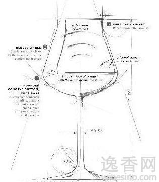 葡萄酒杯“进化论”,葡萄酒,红酒,红葡萄酒,酒圈网